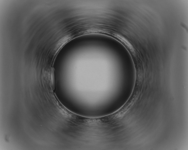 X0000090950809200708301138