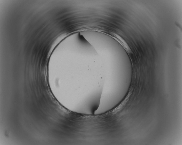 X0000090950812200708301138