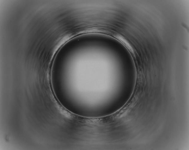 X0000090950813200708301138