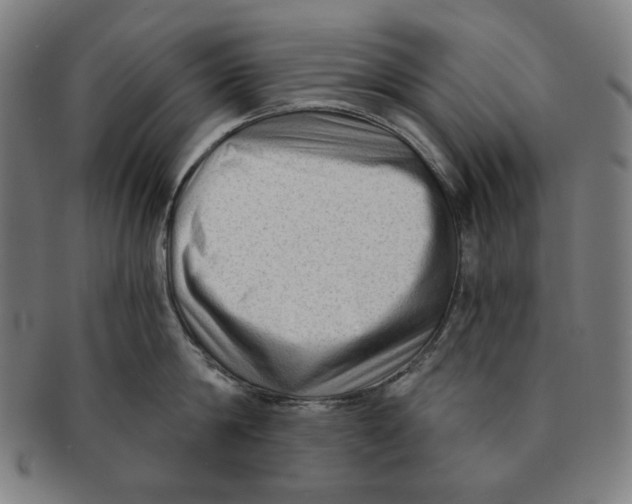 X0000090950814200708301138