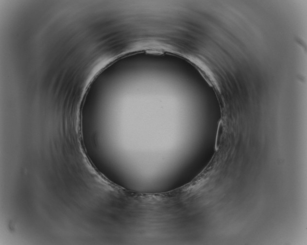X0000090950815200708301138