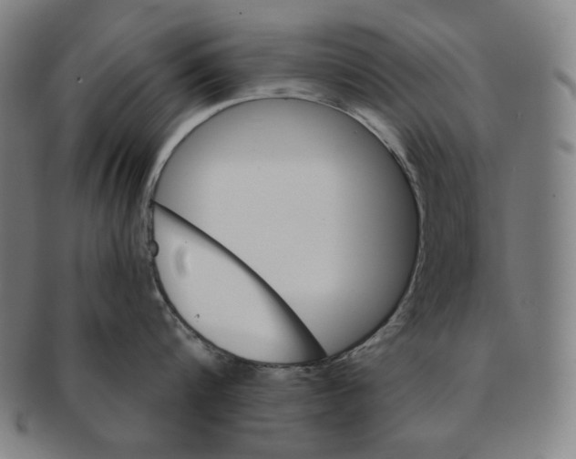 X0000090950816200708301138