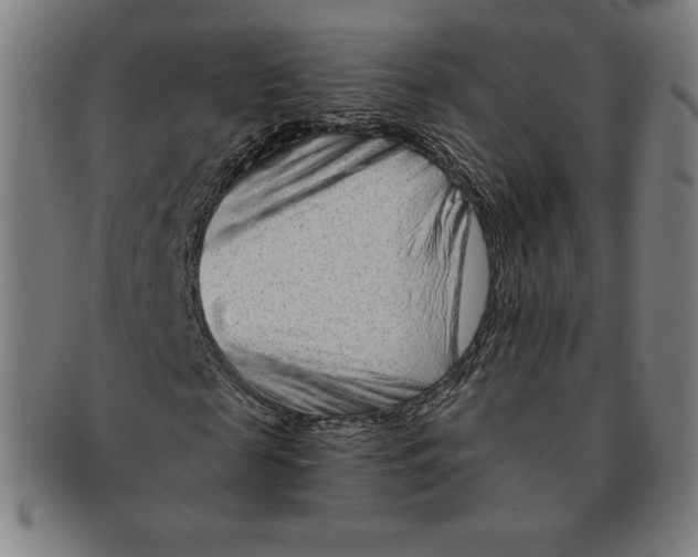 X0000090950817200708301137