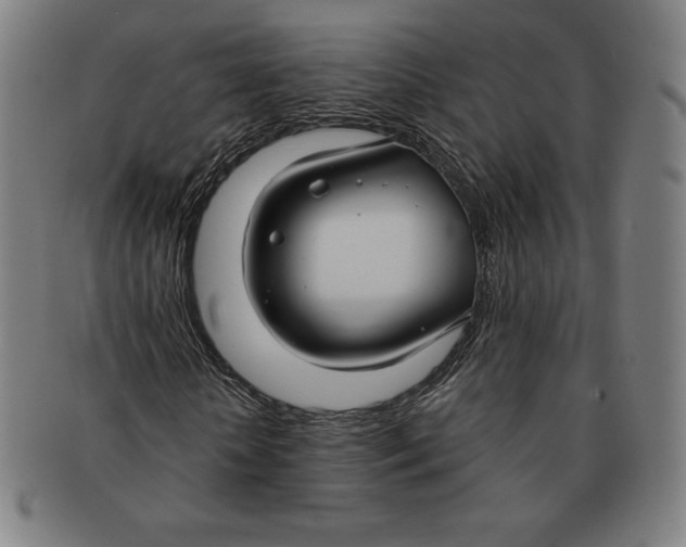 X0000090950818200708301137