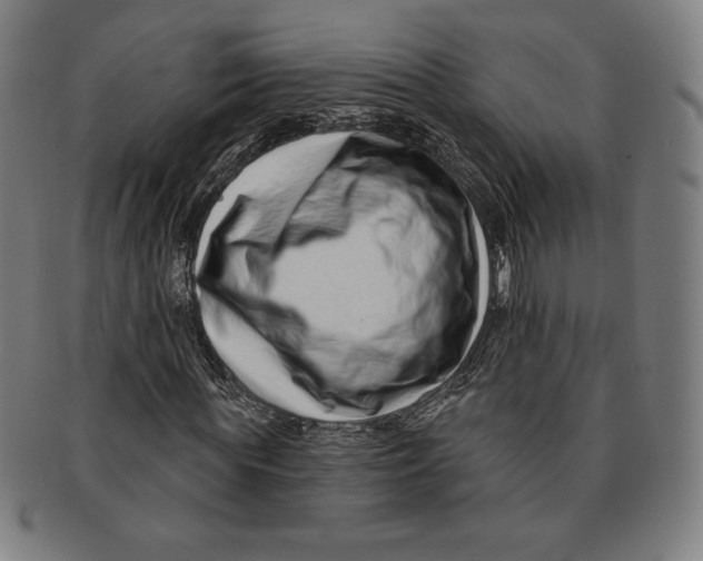 X0000090950819200708301137