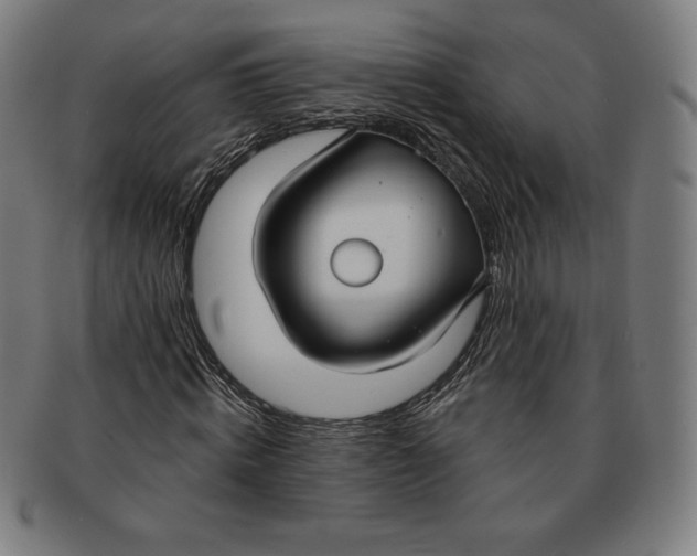 X0000090950820200708301137