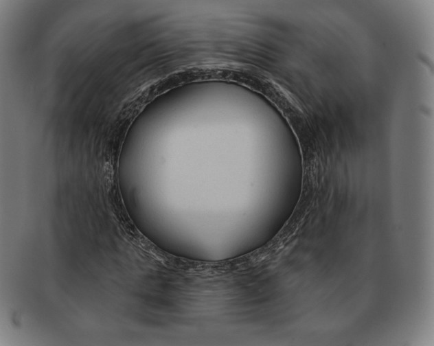 X0000090950821200708301137