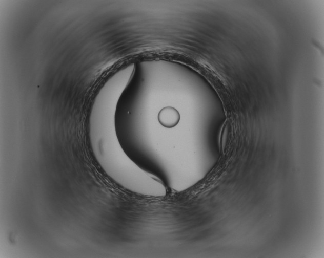 X0000090950822200708301137