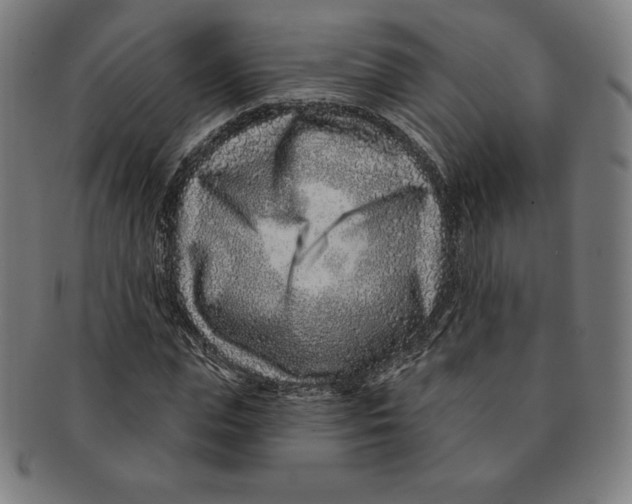 X0000090950823200708301137
