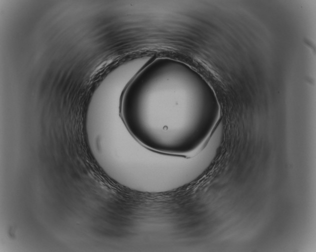 X0000090950824200708301137