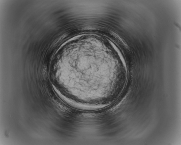 X0000090950825200708301137