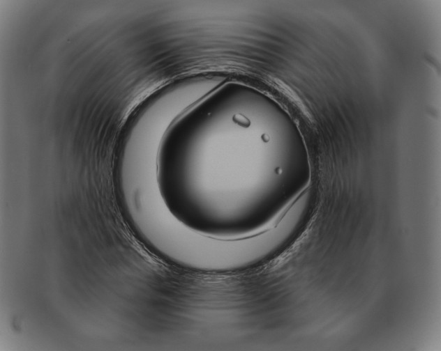 X0000090950826200708301137
