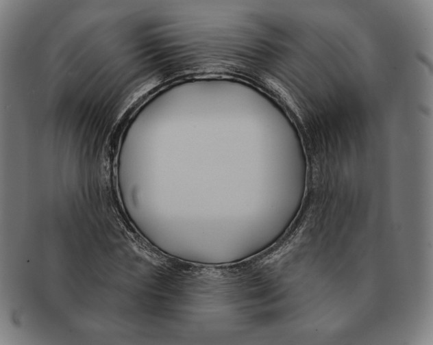 X0000090950827200708301137