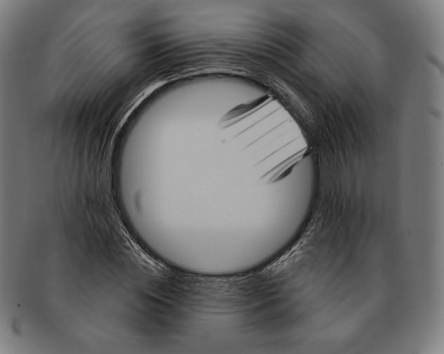 X0000090950828200708301137