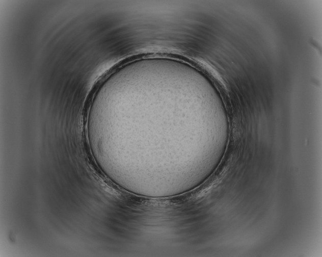 X0000090950831200708301137