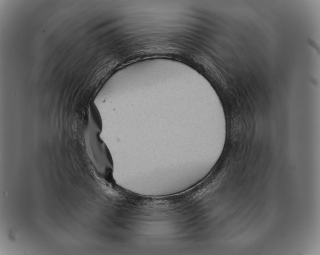 X0000090950833200708301137