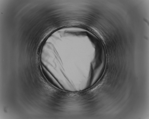 X0000090950835200708301137