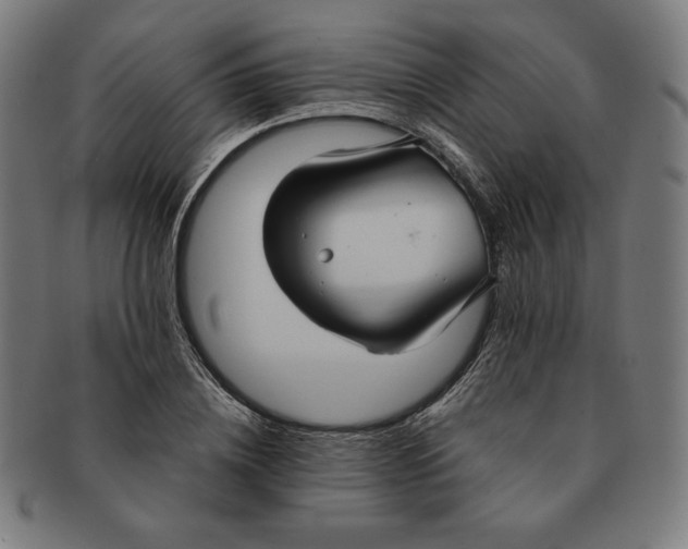 X0000090950836200708301137