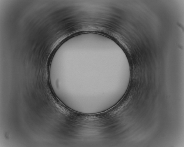 X0000090950837200708301138