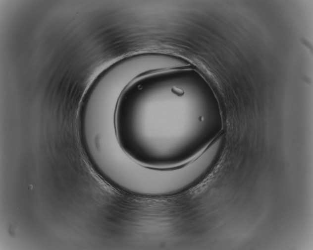 X0000090950838200708301138