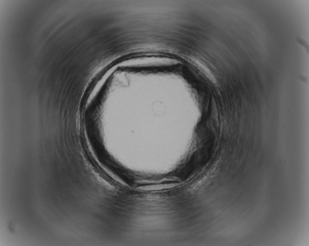 X0000090950839200708301138