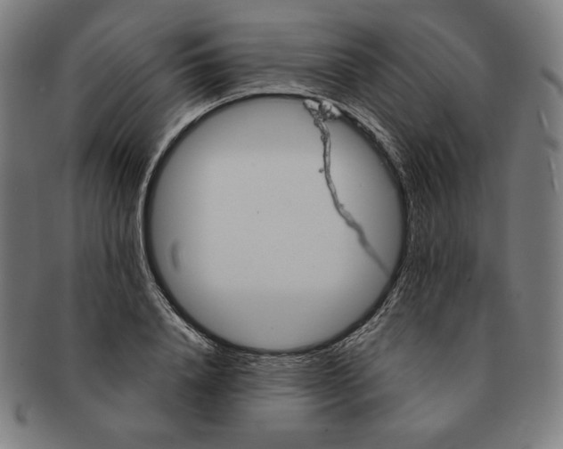 X0000090950840200708301138
