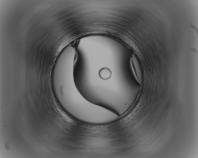 X0000090950842200708301138