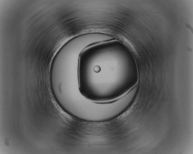 X0000090950844200708301138