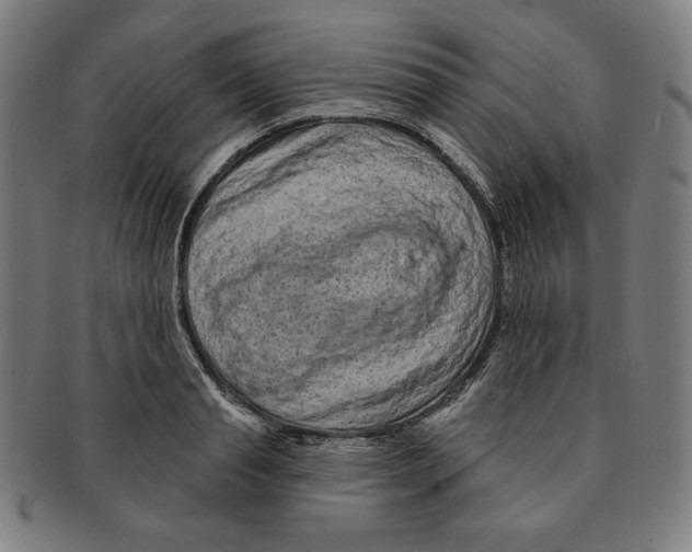 X0000090950845200708301138