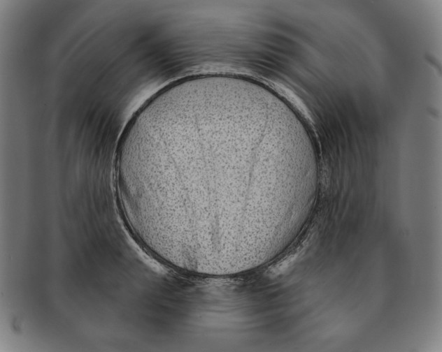 X0000090950847200708301138