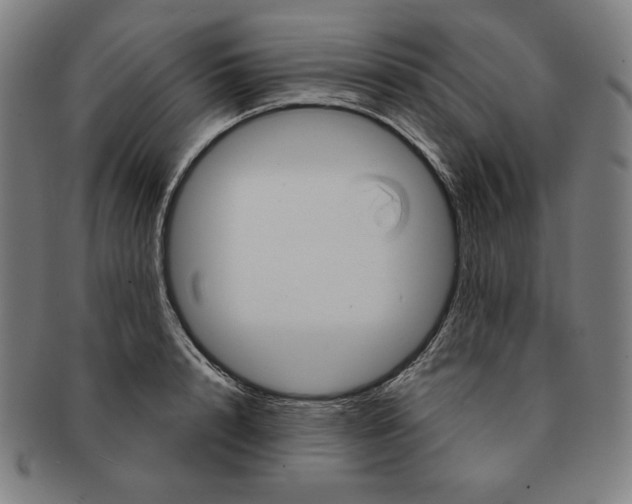X0000090950848200708301138