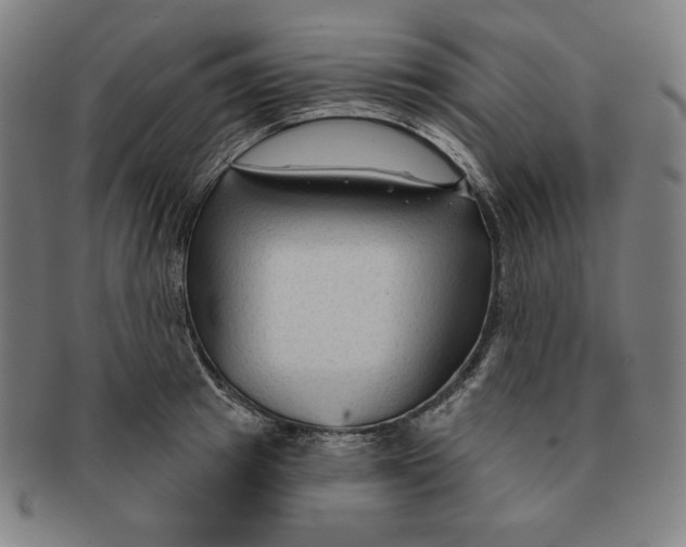 X0000090950849200708301138
