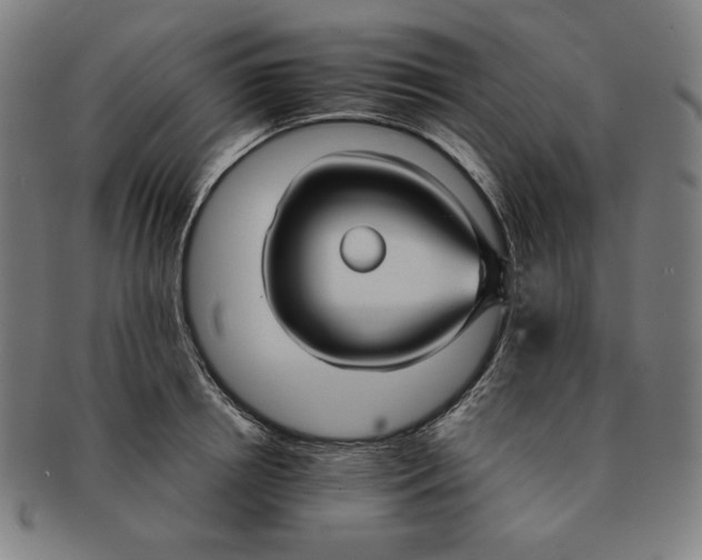 X0000090950850200708301138