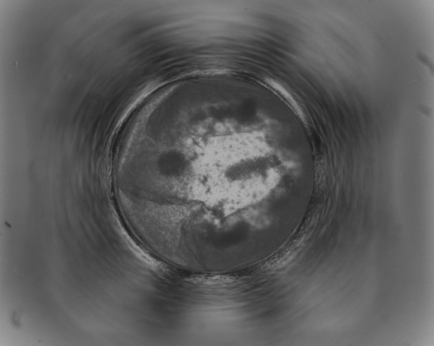 X0000090950851200708301138