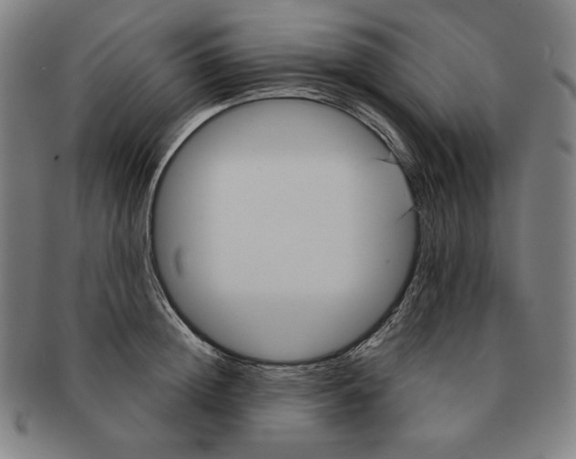 X0000090950852200708301138