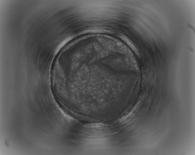 X0000090950853200708301138