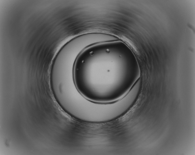 X0000090950854200708301138