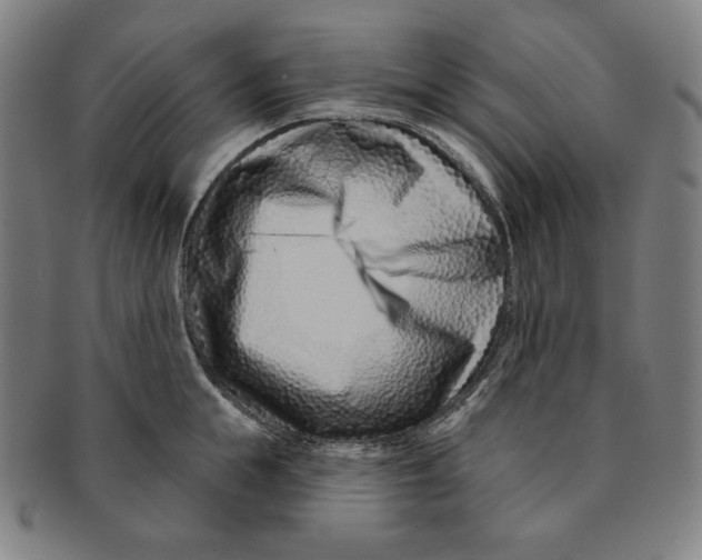 X0000090950855200708301138