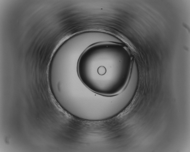 X0000090950856200708301138