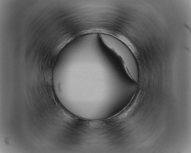 X0000090950857200708301138