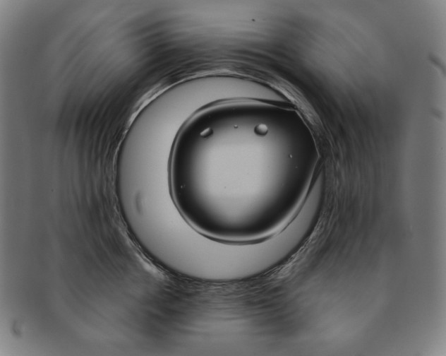 X0000090950858200708301138