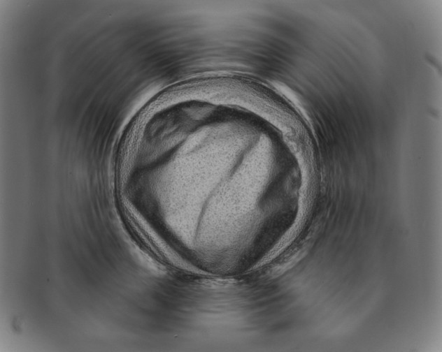 X0000090950859200708301138