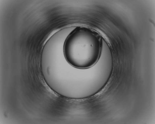 X0000090950860200708301138