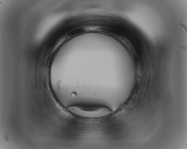X0000090950861200708301138