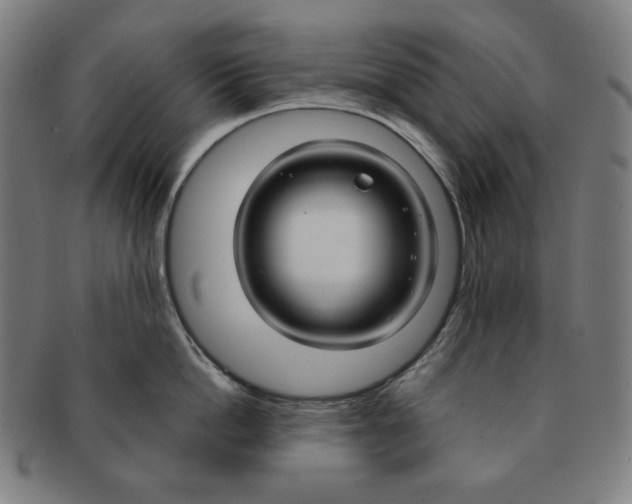 X0000090950862200708301138