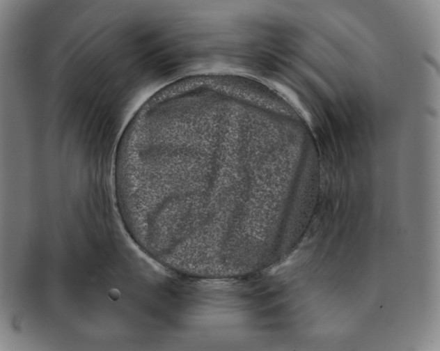 X0000090950863200708301138