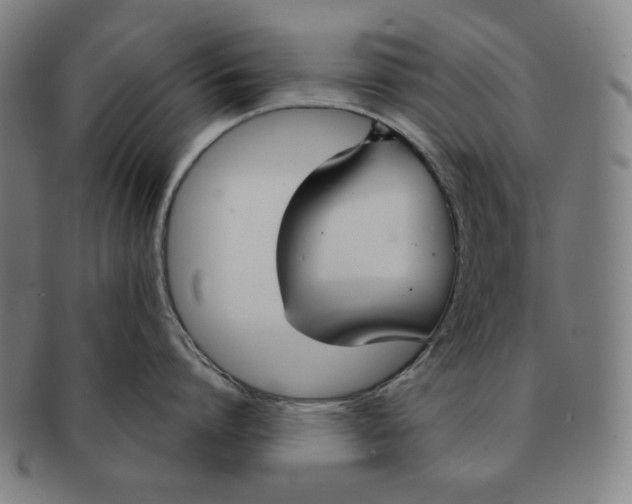 X0000090950864200708301138