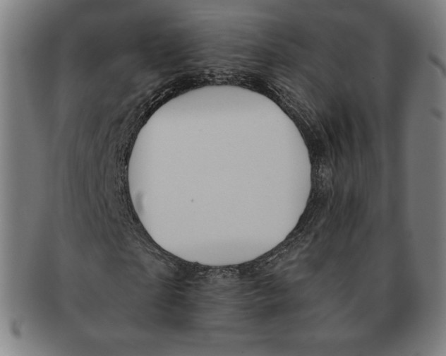 X0000090950865200708301137