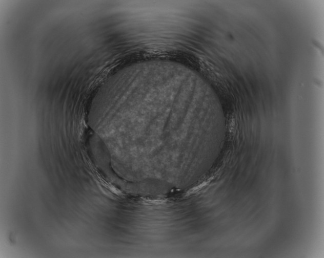 X0000090950868200708301137