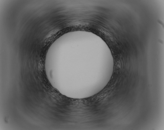 X0000090950869200708301137